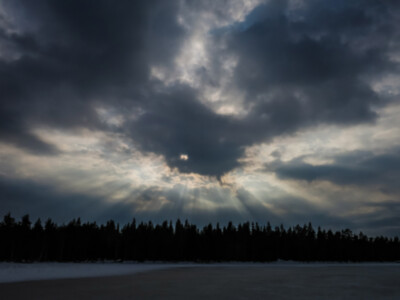 lapland, alidor dolfing