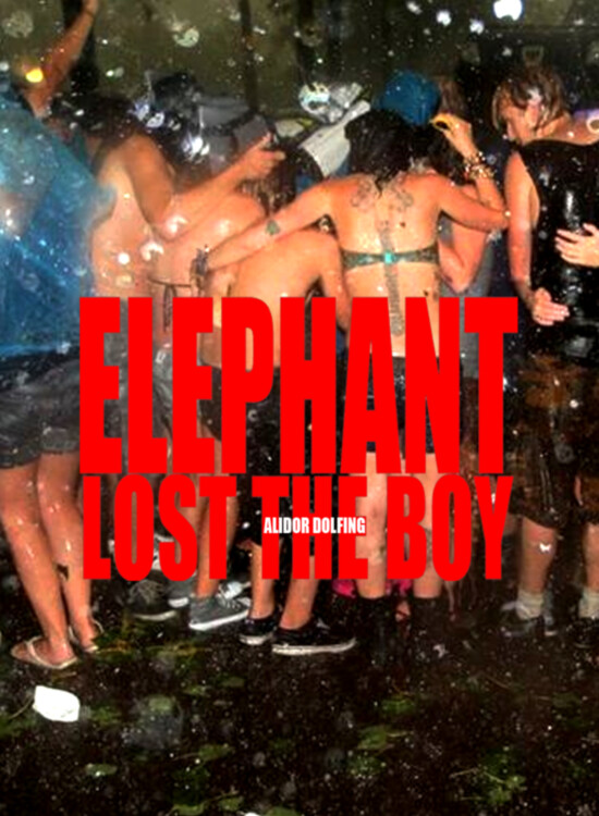 Elephant Lost The Boy, Alidor Dolfing