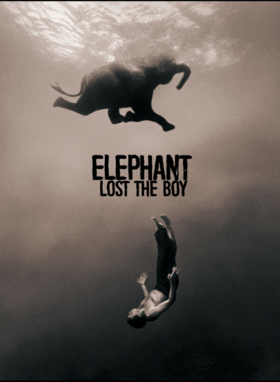 Elephant Lost The Boy, Alidor Dolfing Elephant Lost The Boy, Alidor Dolfing